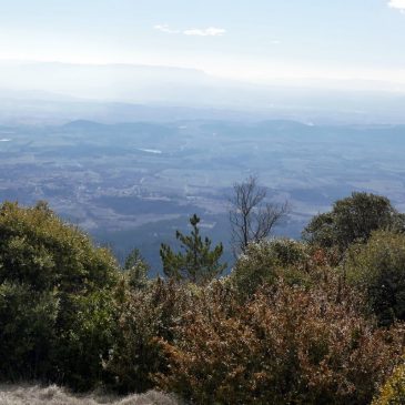 RANDO DU VERSANT SUD DU GRAND LUBERON  du 20/02/2018