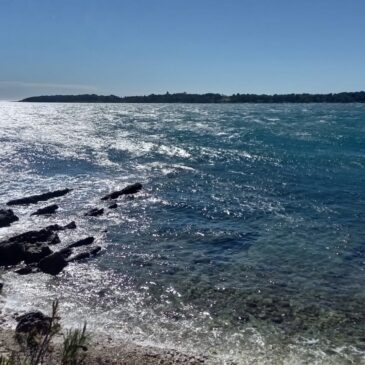 MINI SEJOUR AVRIL 2024 à GRASSE