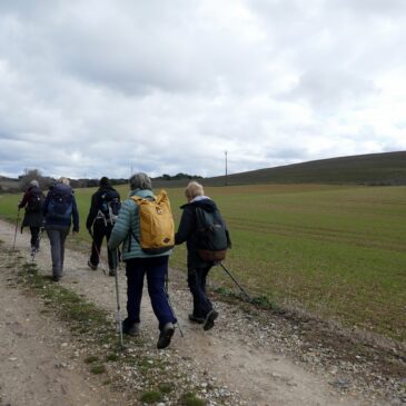 LE PLATEAU DE LEVES VALENSOLE