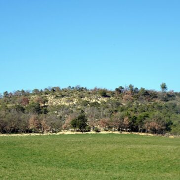 LES LACS DE VILLENEUVE