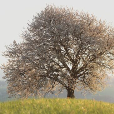 Programme Randonnées Zen Mars/Avril 2026