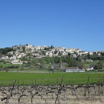 DANS LES OLIVIERS DE LURS