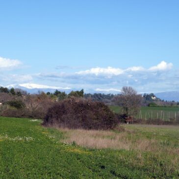 ENTRE LARGUE ET REILLANNE