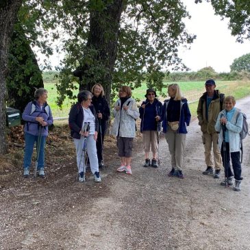 le PLAN DES AIRES – FORCALQUIER